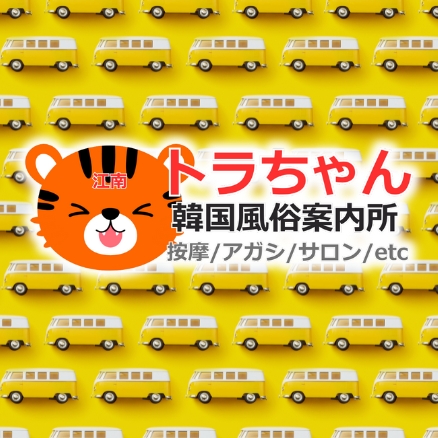 トラちゃん｜江南 風俗総合：江南・明洞・梨泰院の案内に対応